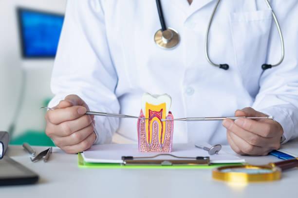 Best Emergency Dentist for Special Needs Patients in Gosnell, AR